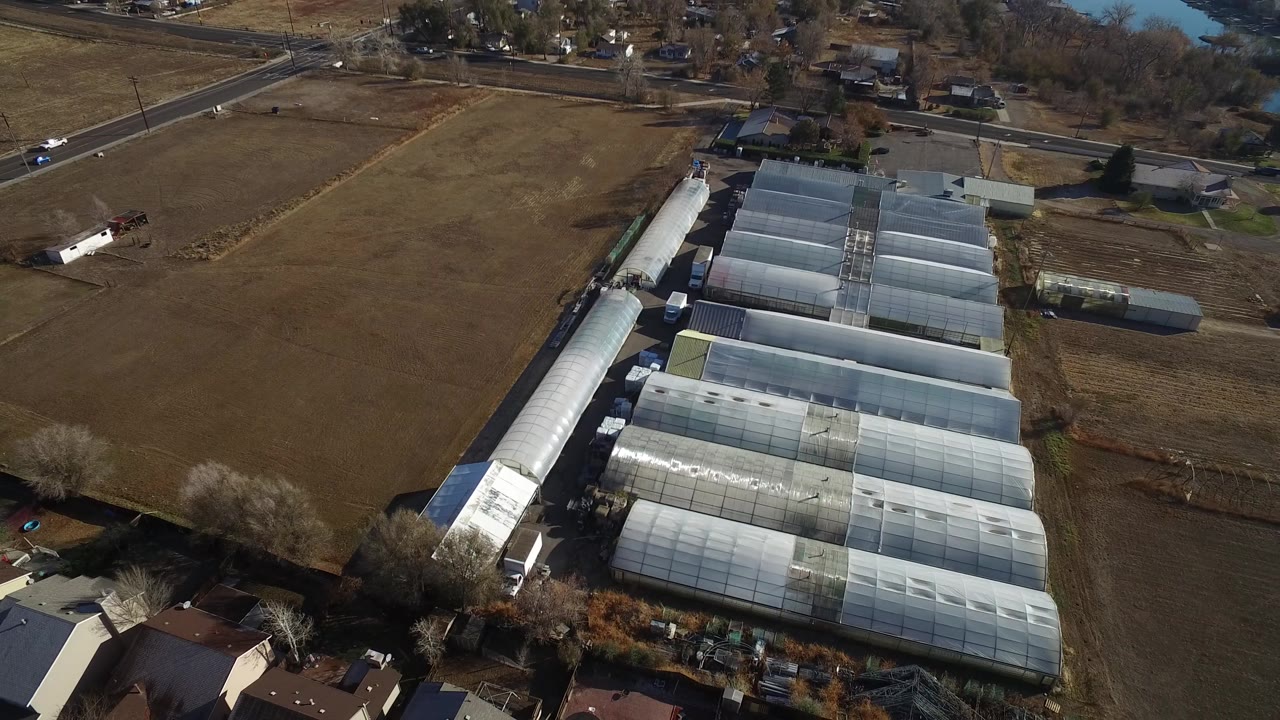 Second aerial frame in Westminster, Colorado, with long white greenhouse roofs, open brown lots, a road crossing the upper left, scattered vehicles, and no visible people.