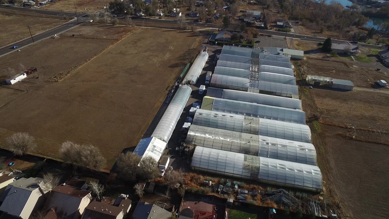 Third aerial frame over Westminster, Colorado, showing the greenhouse blocks set between plowed-looking fields, roadside traffic, scattered buildings, and no visible people.