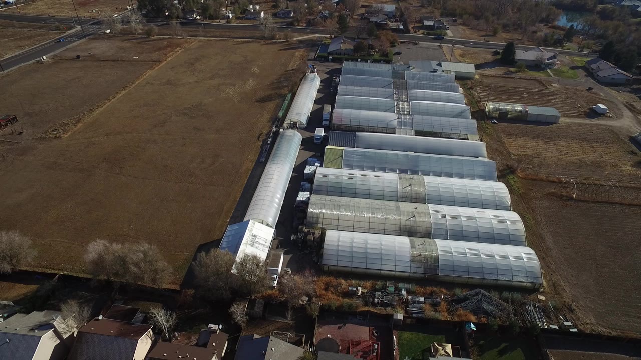 Opening aerial frame over greenhouse canopy rows in Westminster, Colorado, with brown fields, nearby homes, roads, trees, and no visible people.