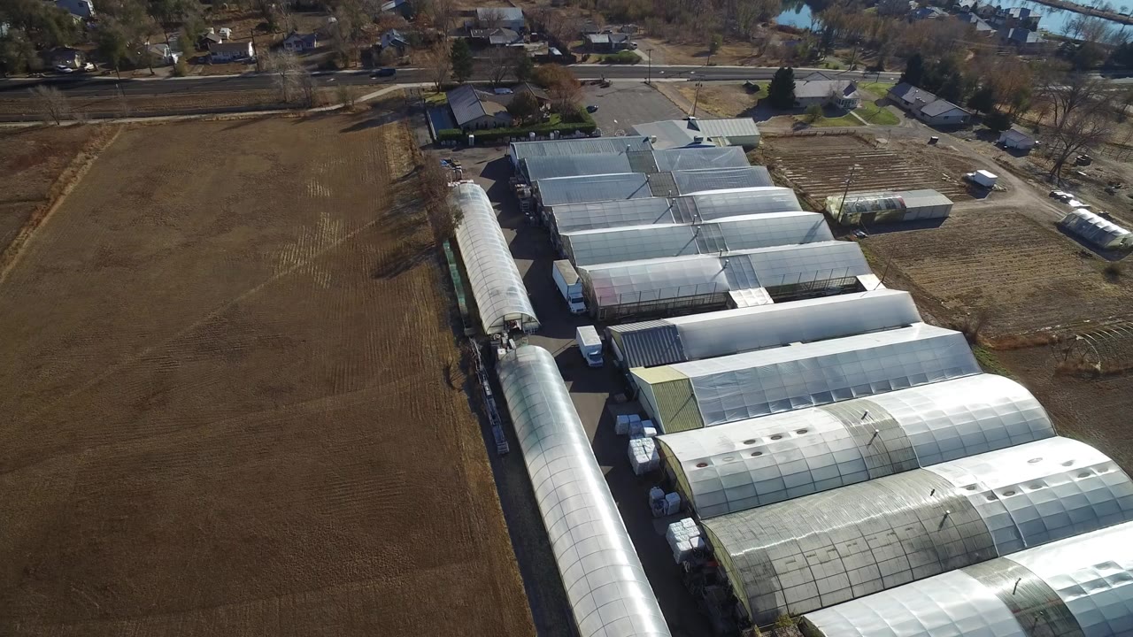 A high aerial frame over Westminster, Colorado shows long white greenhouse-style buildings along a brown field, with roads, homes, and no visible people.