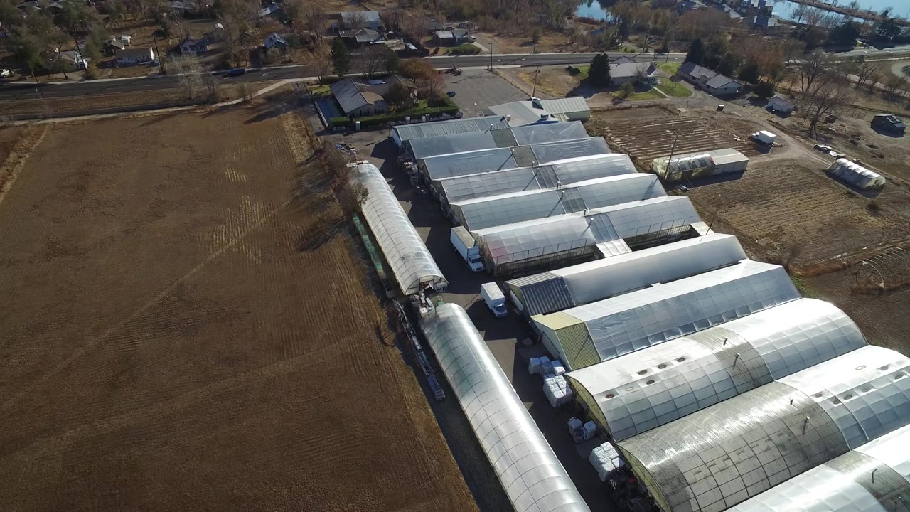 Overhead oblique view of agricultural buildings, empty fields, and a water body beyond homes.