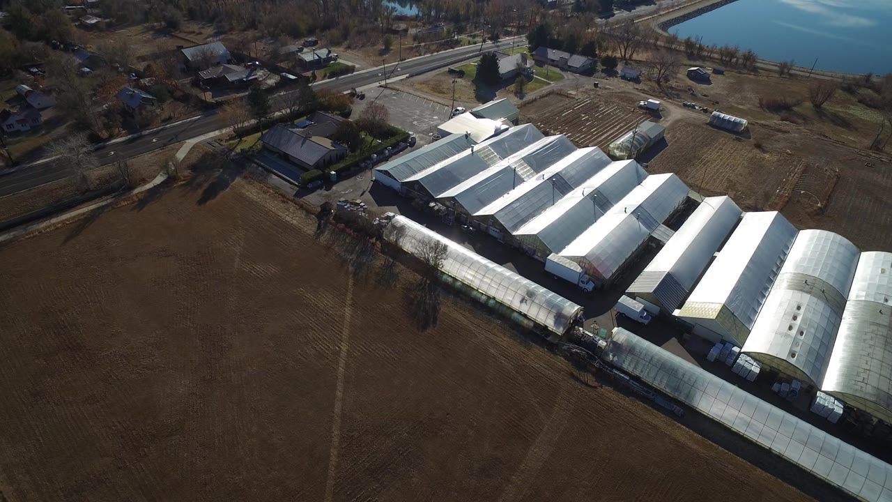Aerial frame over Westminster, Colorado showing white-roofed industrial or greenhouse-like buildings beside a brown field, a road, scattered houses, trees, and lake water, with no visible people.
