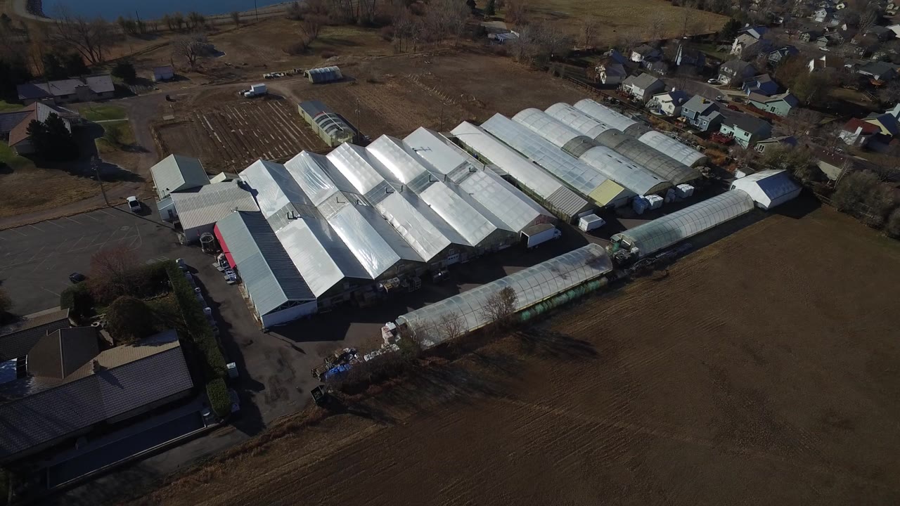 Aerial view of greenhouse roofs beside fields and houses.