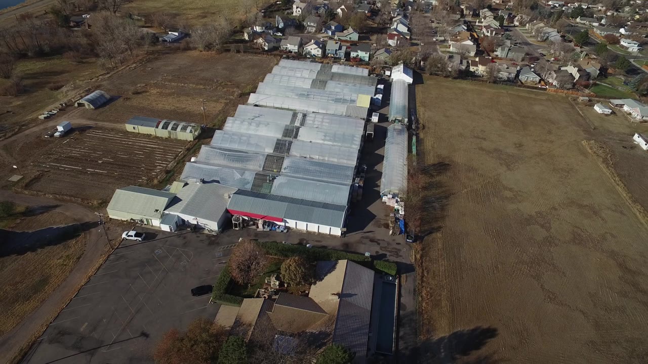 Elevated view of a commercial greenhouse complex near a neighborhood.