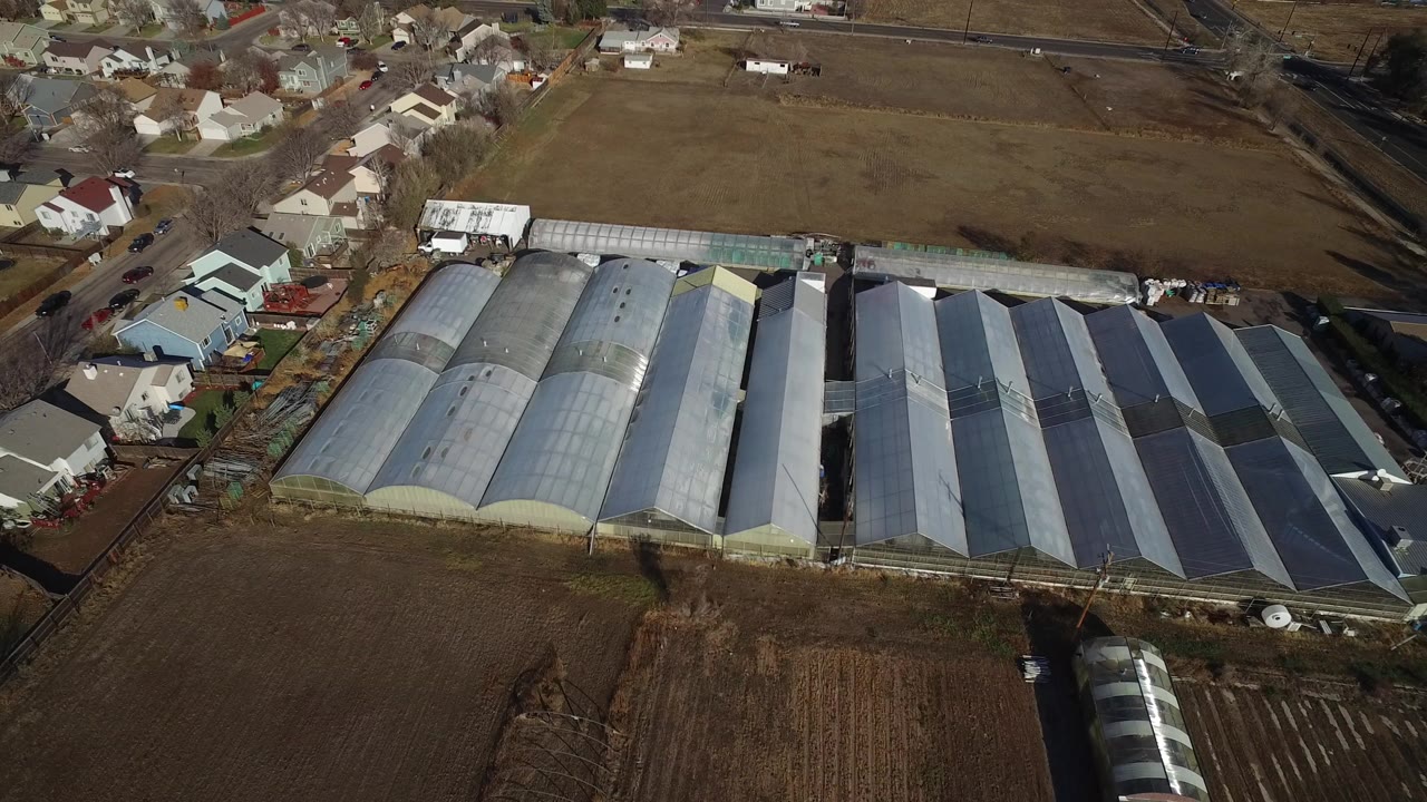 Aerial view of greenhouse roofs beside fields and houses.