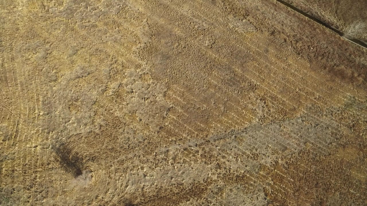 Overhead view of dry brown and yellow field textures with faint tracks.