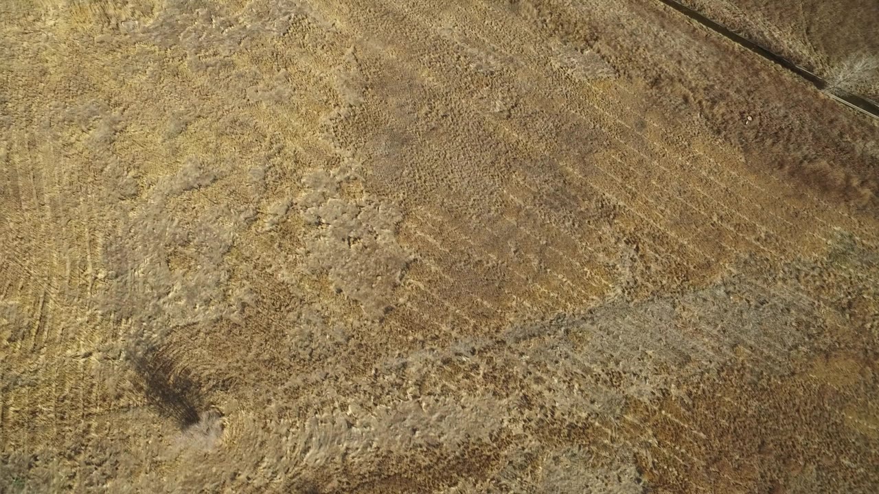 Second overhead frame in Westminster, Colorado, showing dry field patches crossed near the top by a dark diagonal fence or drainage line, with no visible people.