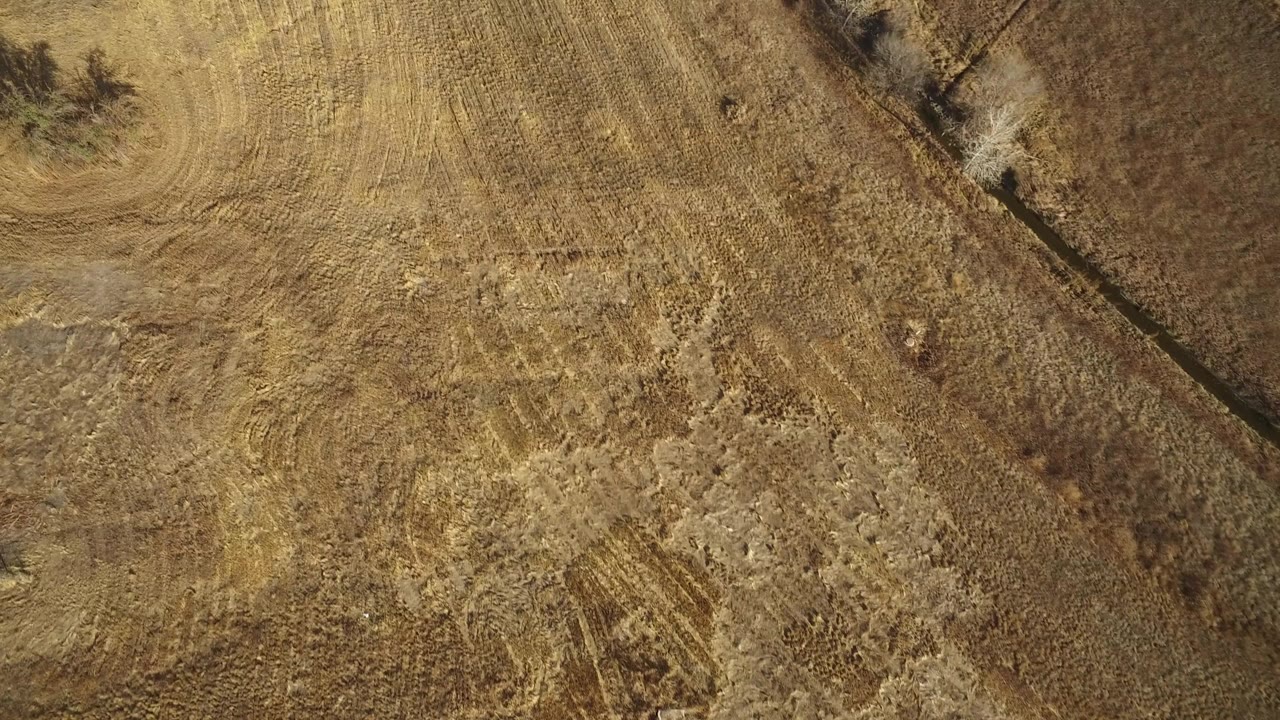 Overhead aerial frame in Westminster, Colorado showing tan harvested field patterns, a small cluster of leafless trees, and no visible people.