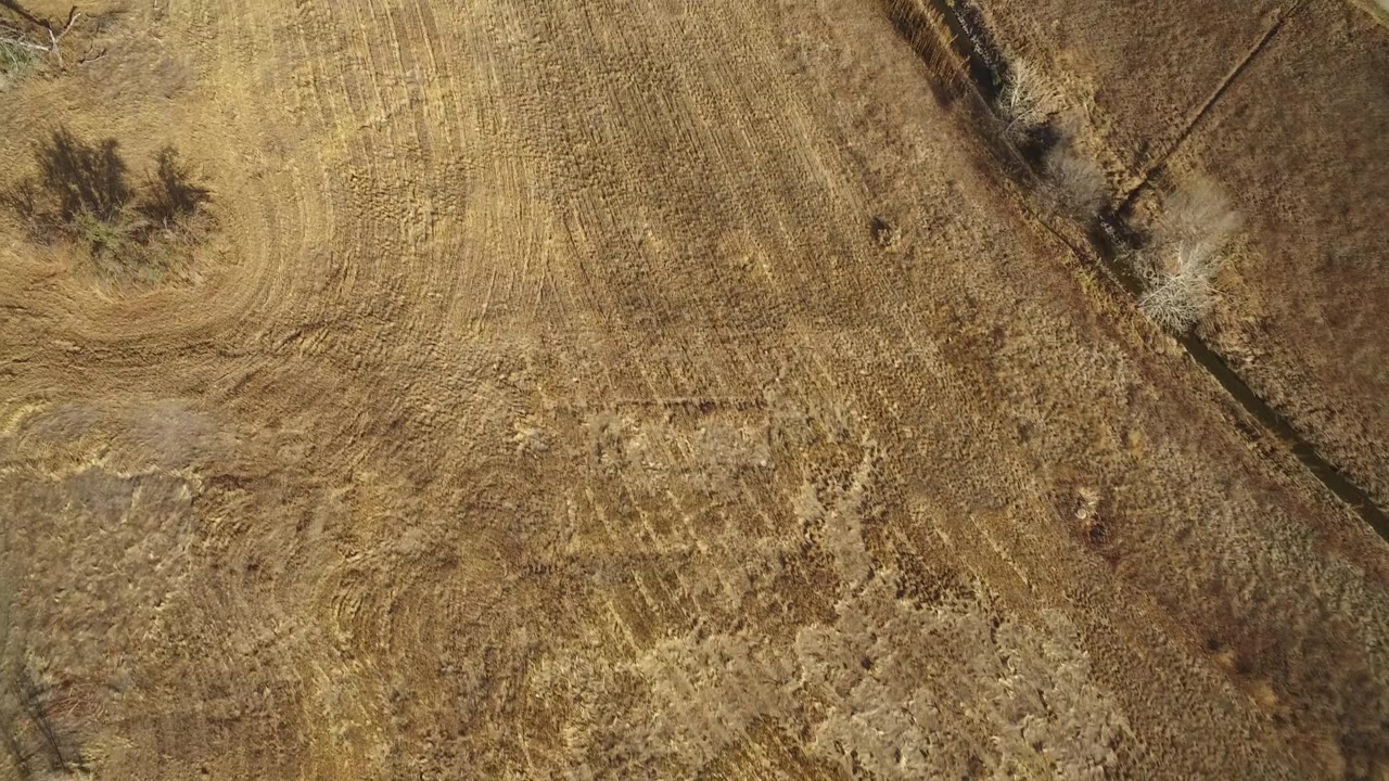 Overhead farm field with curved tractor marks and tree shadows.