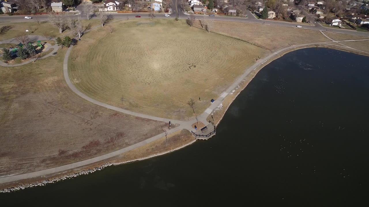 Aerial view of a lake edge, park paths, open grass, road, and houses.