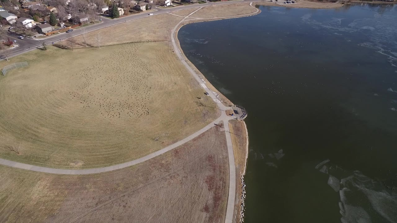 Aerial shoreline view with a lakeside field, paths, houses, and dark water.