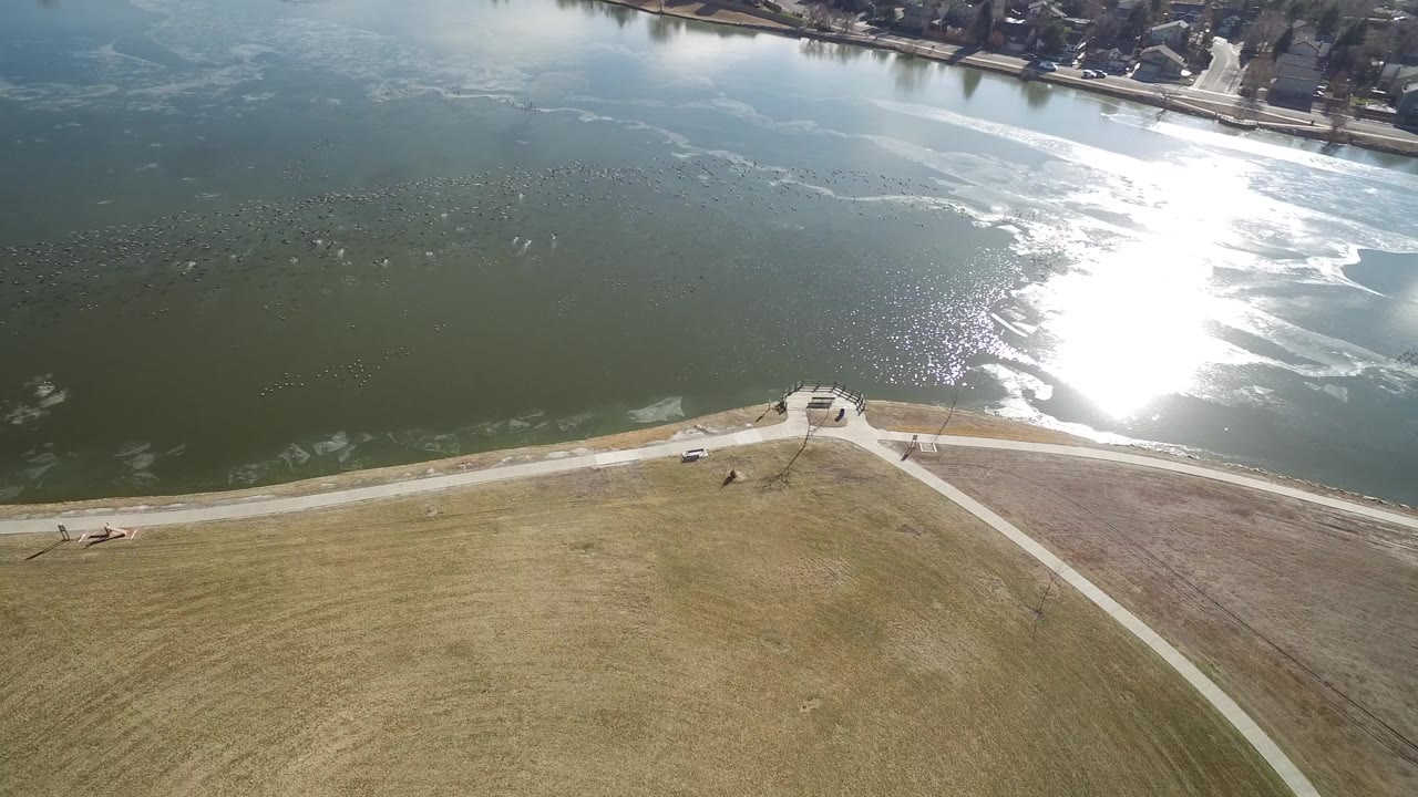 Aerial view of a grassy lake shore with bright sun reflection on the water.