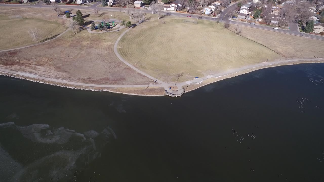 Aerial view of dark lake water beside a curved grassy shoreline and distant houses.