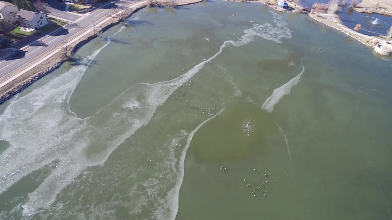 Overhead aerial frame in Hidden Lake, Colorado showing green lake water, pale ice streaks, a shoreline road, nearby homes, bare trees, and no clearly recognizable people.