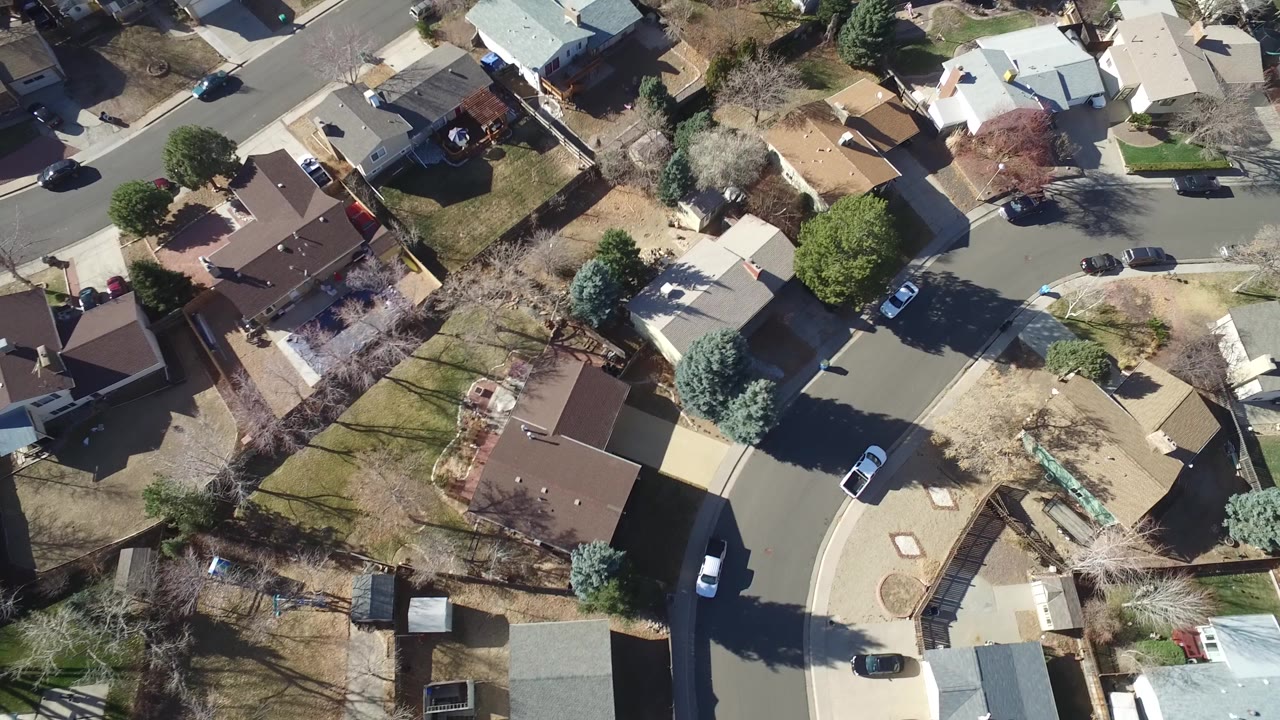 Overhead view of suburban houses, yards, trees, and curved streets.