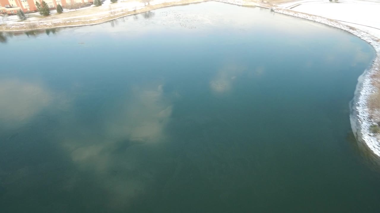 Reflective green water beside a pale shoreline and distant buildings.