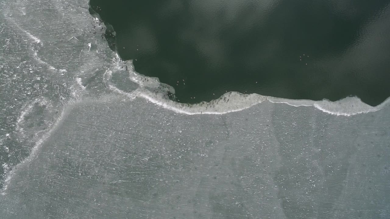 Overhead view of green lake water meeting gray ice