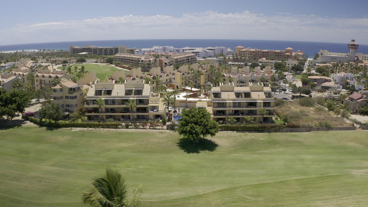 Drone view of palm-lined buildings with ocean visible beyond them.
