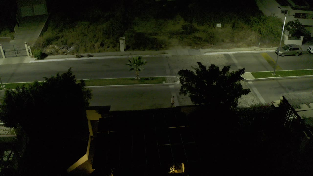 A dim Los Cabos residential street at night with a light-colored parked car near a driveway, sidewalks, palms, and dark house shapes in the foreground, with no visible people.