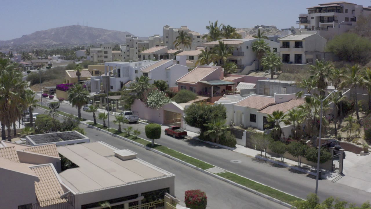 Elevated view of palm-lined Los Cabos homes and a quiet road.