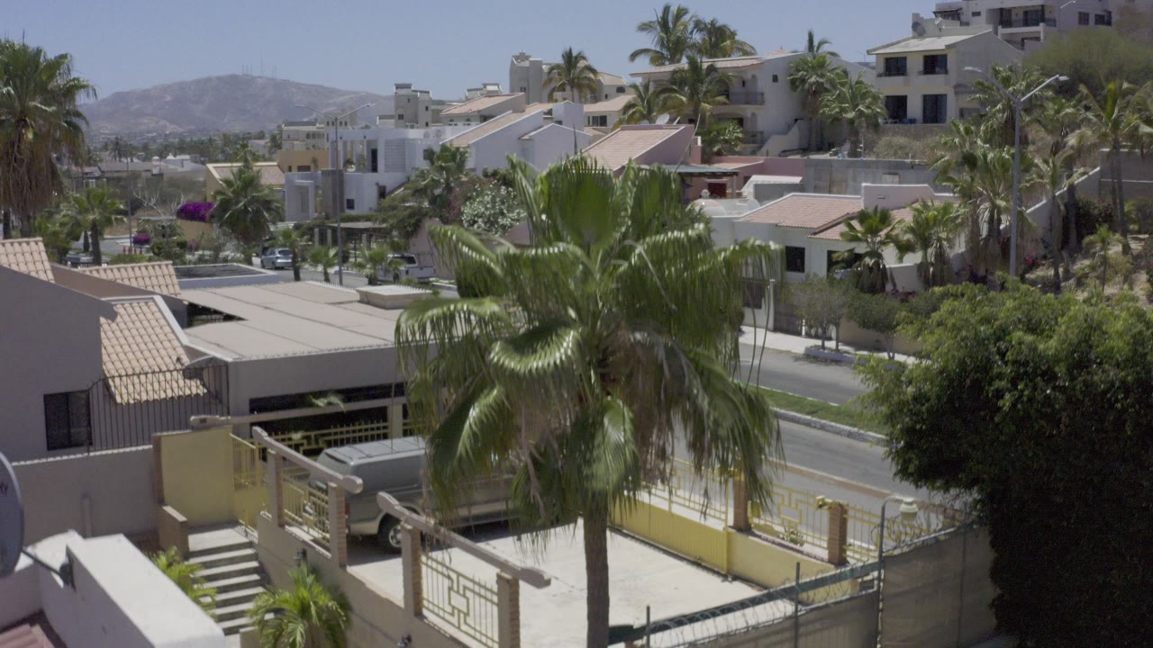 Opening Los Cabos frame with a large palm centered over white residential buildings, a gated driveway, distant hills, and no visible people.