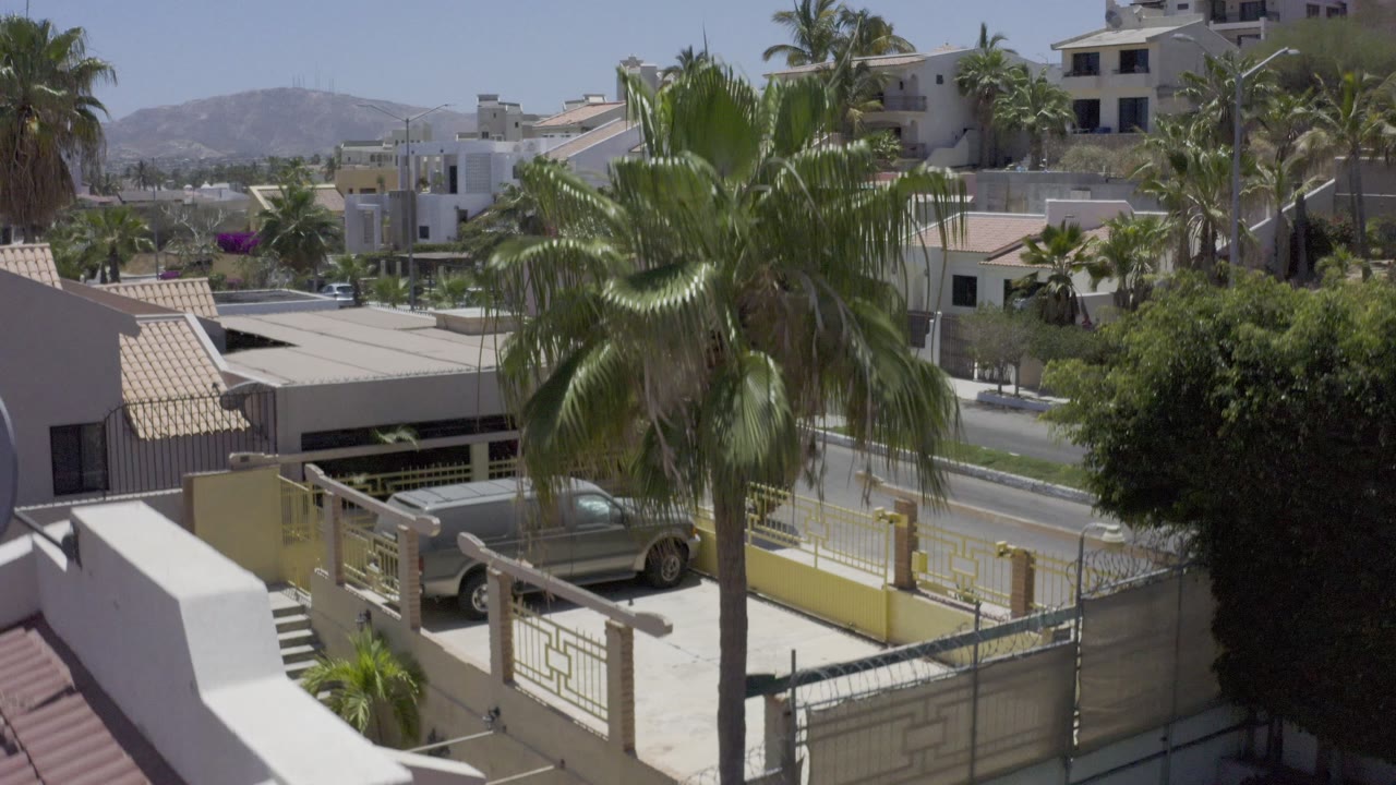 Palm-lined neighborhood with parked car and villas