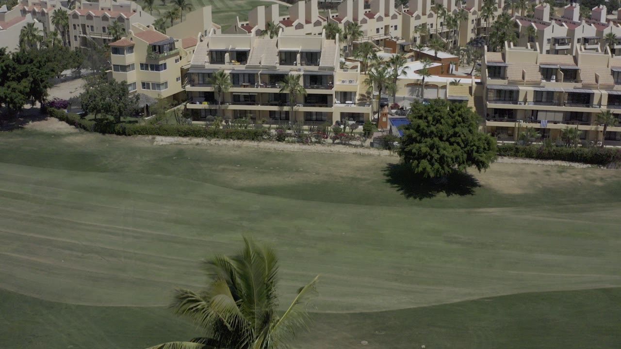 Aerial view of green lawn, palm fronds, trees, and tan buildings.