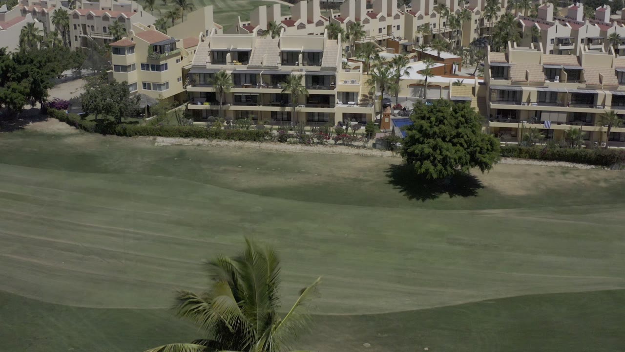 Los Cabos frame showing the broad mowed grass area with a large dark green tree near the background buildings and no visible people.