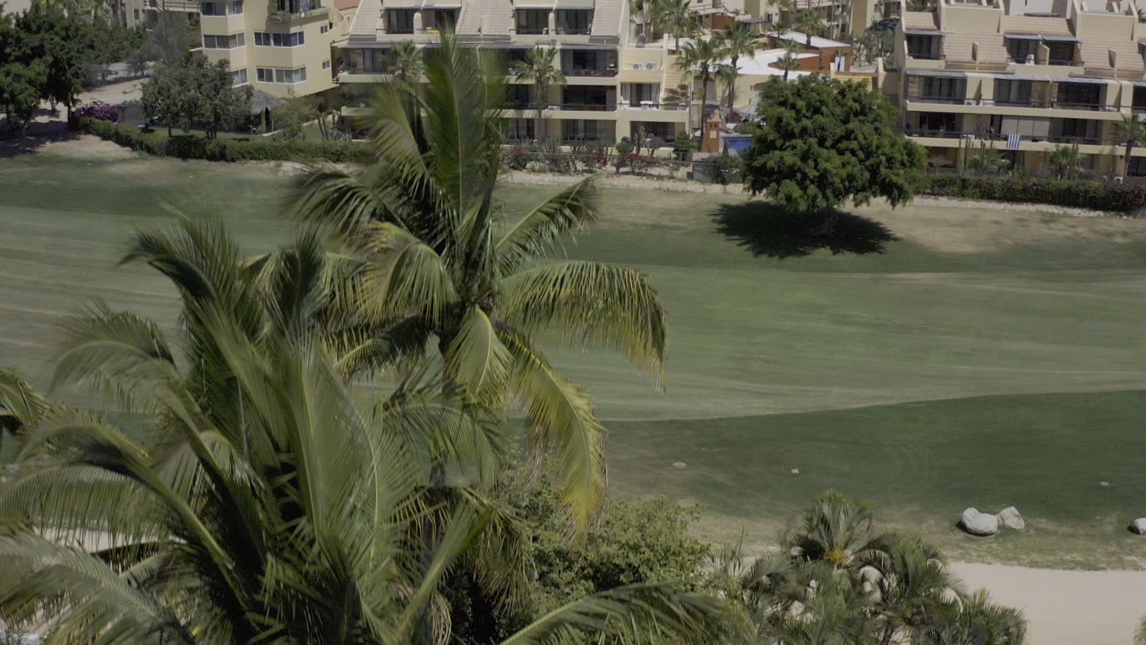 Palm fronds above a golf fairway and resort buildings.