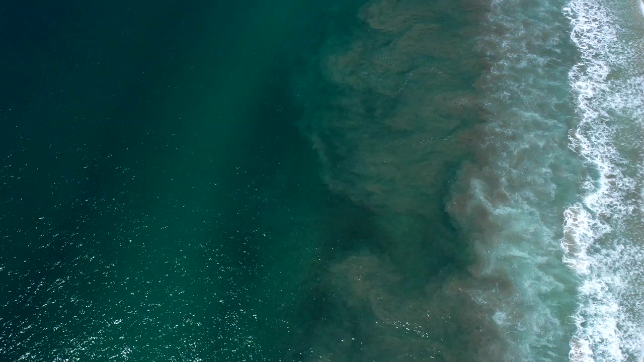 Overhead view of green ocean in Los Cabos, Mexico, with a white breaking wave running near the center and no visible people.