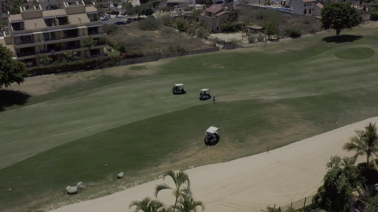 Three golf carts on a fairway beside a sand path and palm trees.