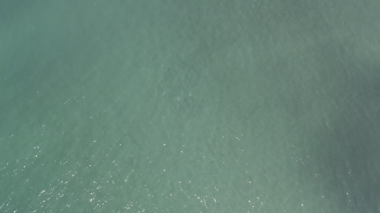 Green water surface in Los Cabos, Mexico, with more visible sparkling highlights across the lower part of the frame and no visible people.