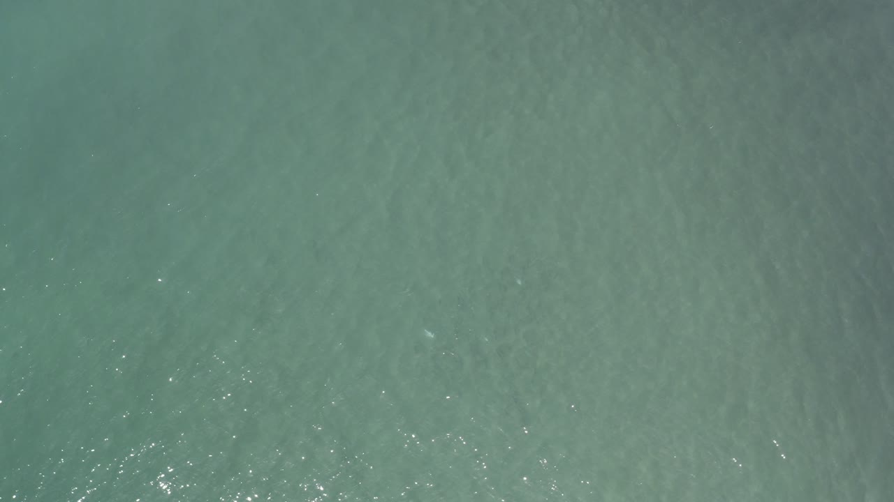 Overhead view of blue-green sea water in Los Cabos, Mexico, with fine ripples, scattered light glints, and no visible people.
