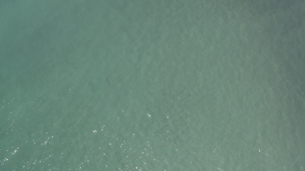 Open water with soft ripples and tiny white highlights.
