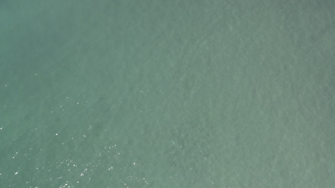 Overhead view of green-blue seawater in Los Cabos, Mexico, with faint surface ripples and no visible people.