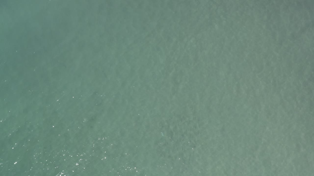 Calm turquoise sea surface in Los Cabos, Mexico, with small bright highlights and no visible people.