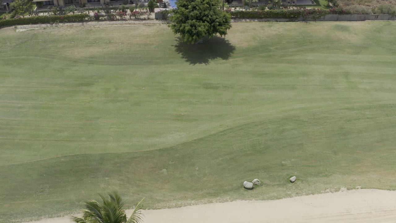 Aerial view of green grass, a sand edge, rocks, a tree, and low-rise buildings.