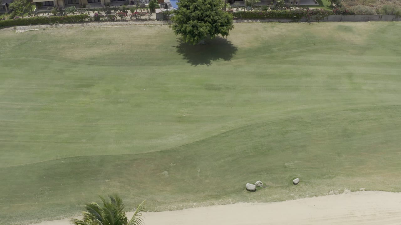 A Los Cabos aerial view holds on the green grass and pale sand border, with small rocks in the lower field, a shade tree near the upper edge, buildings behind it, and no visible people.