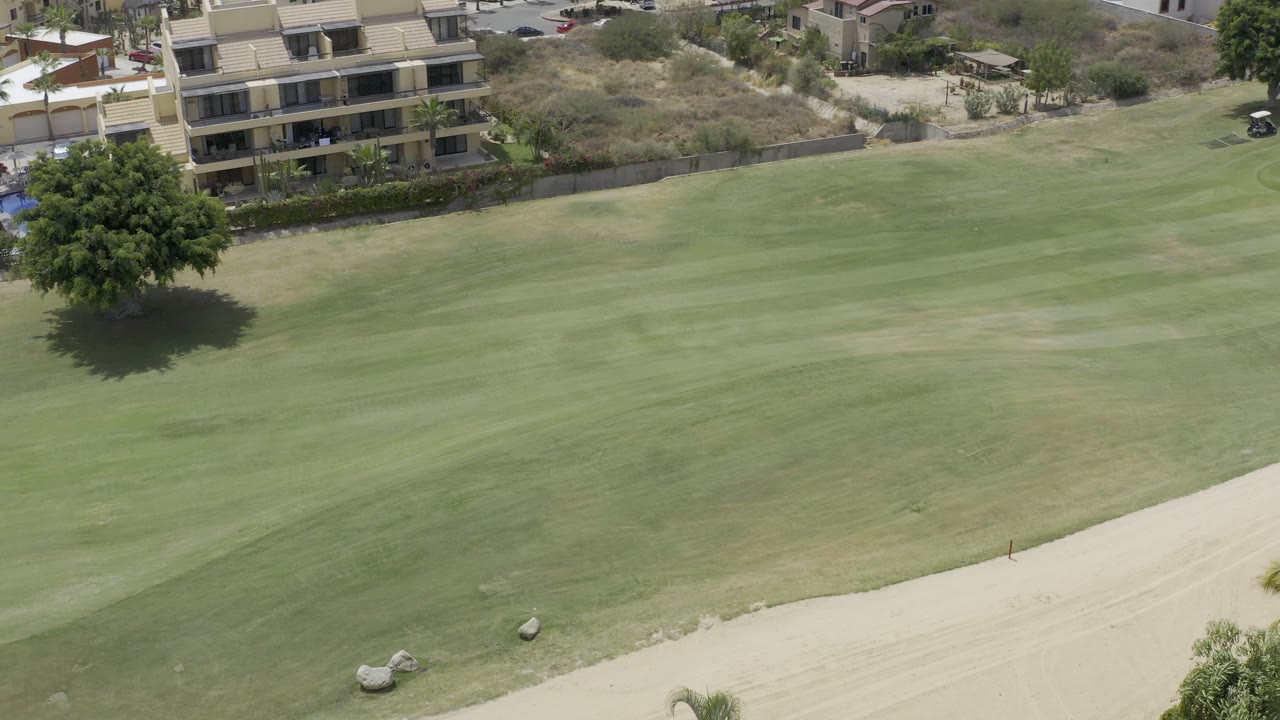 Drone view over Los Cabos, Mexico, with the fairway filling the frame, a large tree casting shade near the upper center, sand along the lower edge, and no visible people.