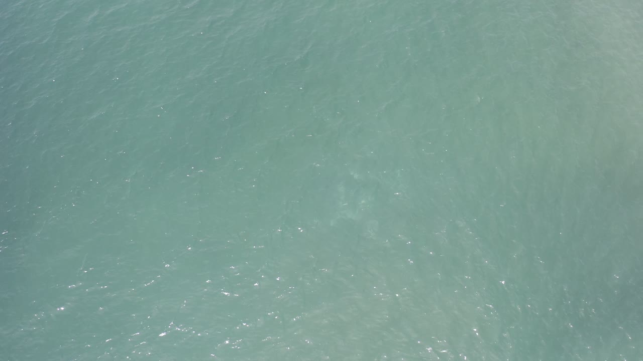 Teal water in Los Cabos, Mexico, with scattered bright flecks and no visible people or shoreline.