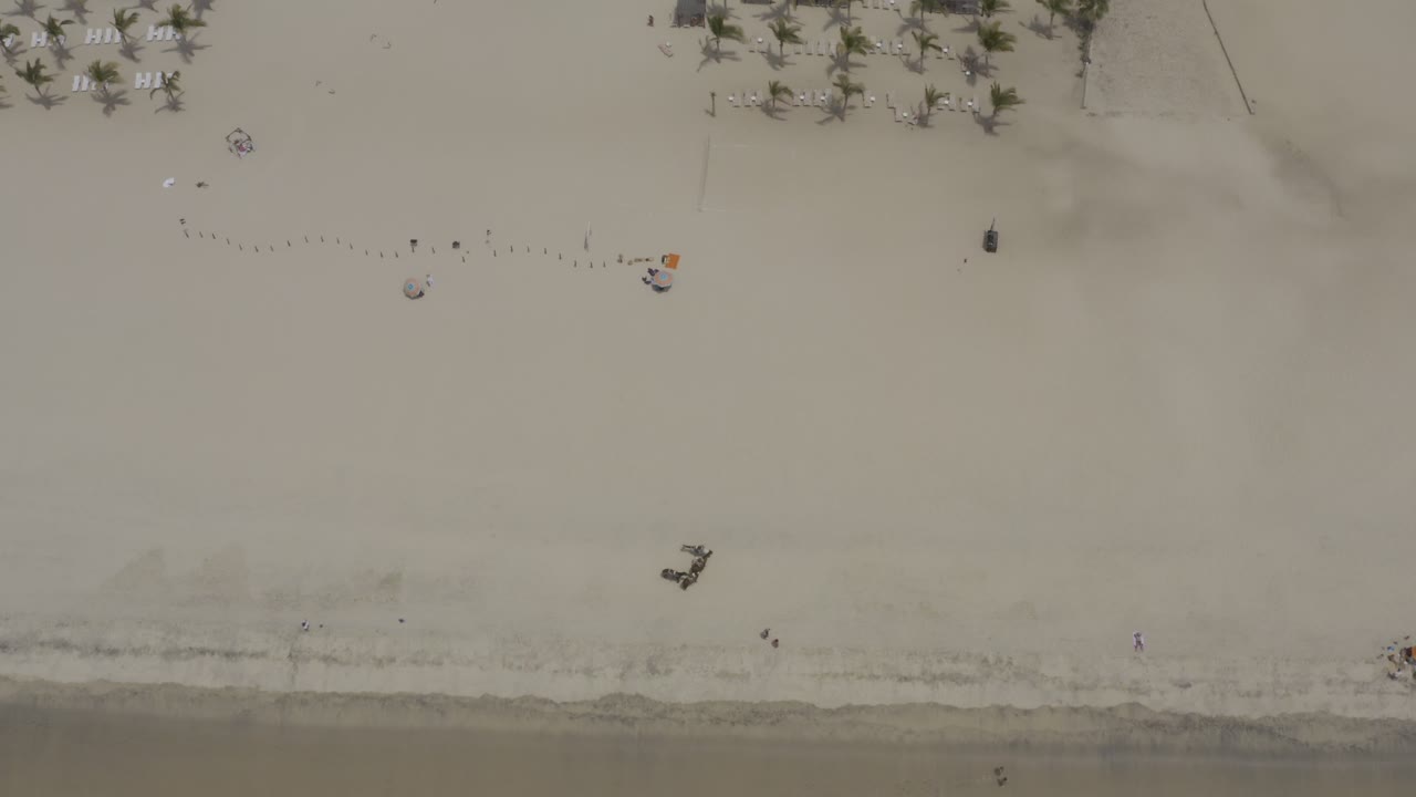 Aerial Los Cabos beach frame showing open pale sand, soft surf at the lower edge, scattered palms and lounge setups near the resort, and no recognizable faces.