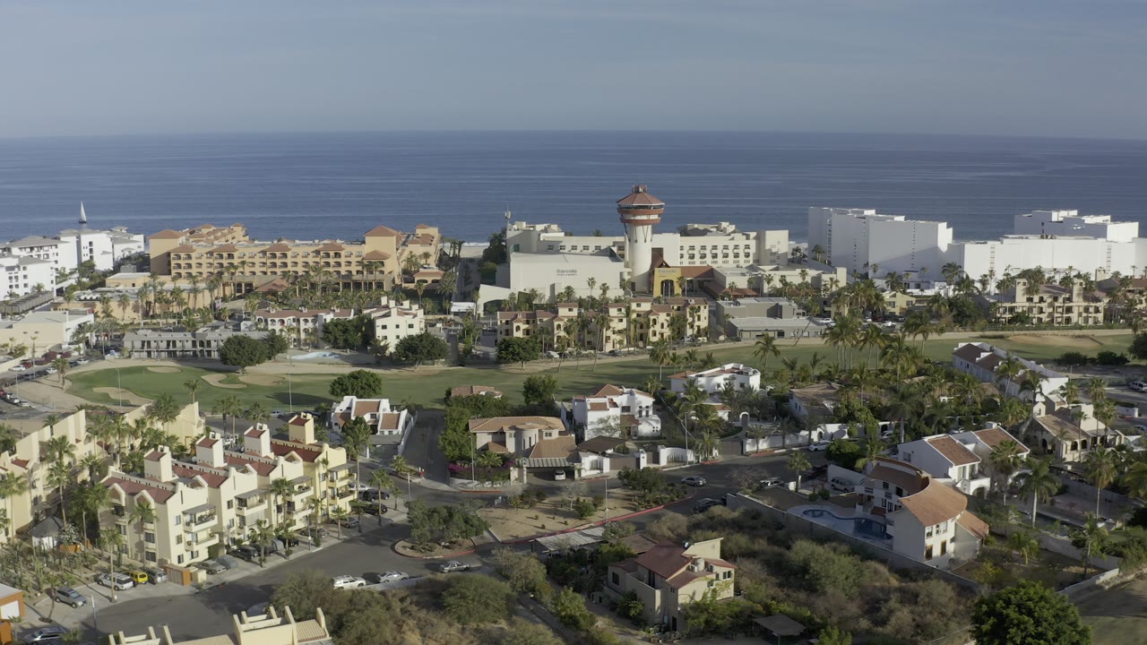 Wide aerial view of seaside buildings, roads, palms, and ocean.