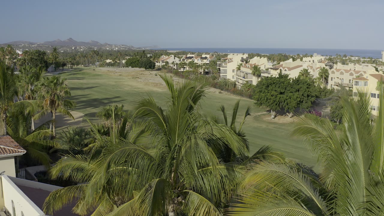 Los Cabos frame with palm crowns across the lower foreground, open grass and light-colored residences in the midground, distant hills and a thin ocean line, and no visible people.