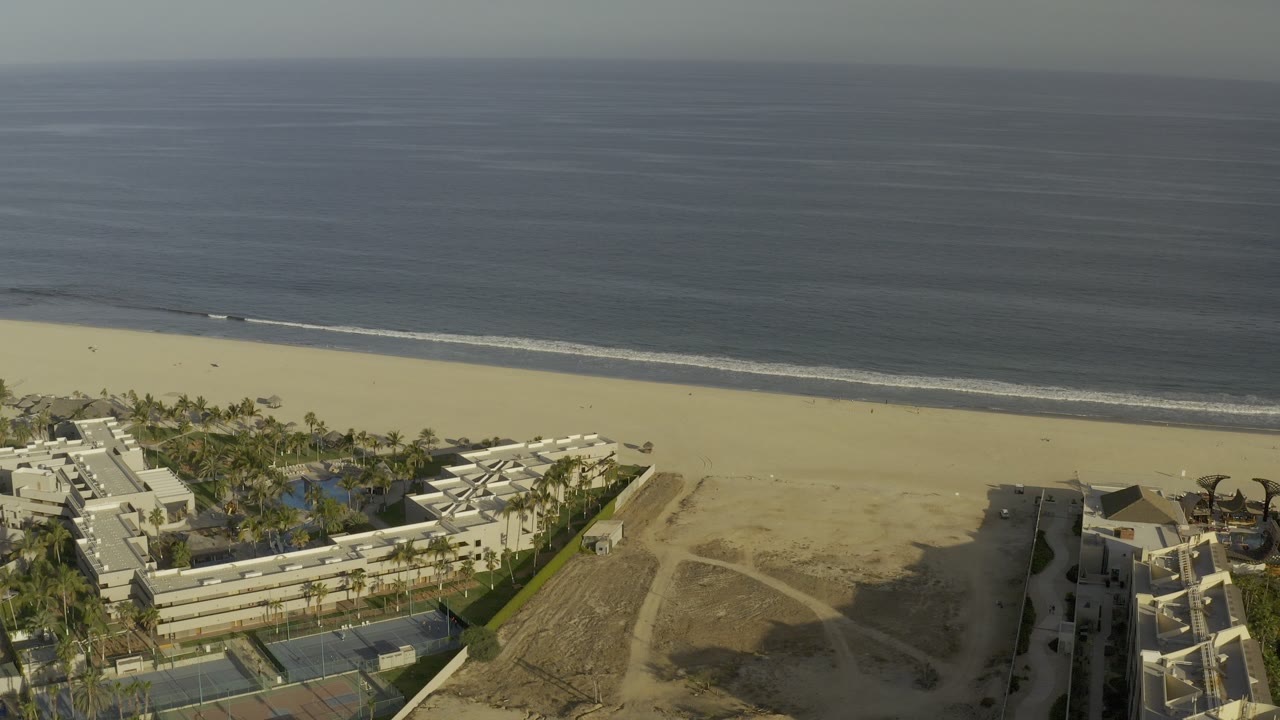 Aerial view of beach, ocean, palms, and beachfront buildings.