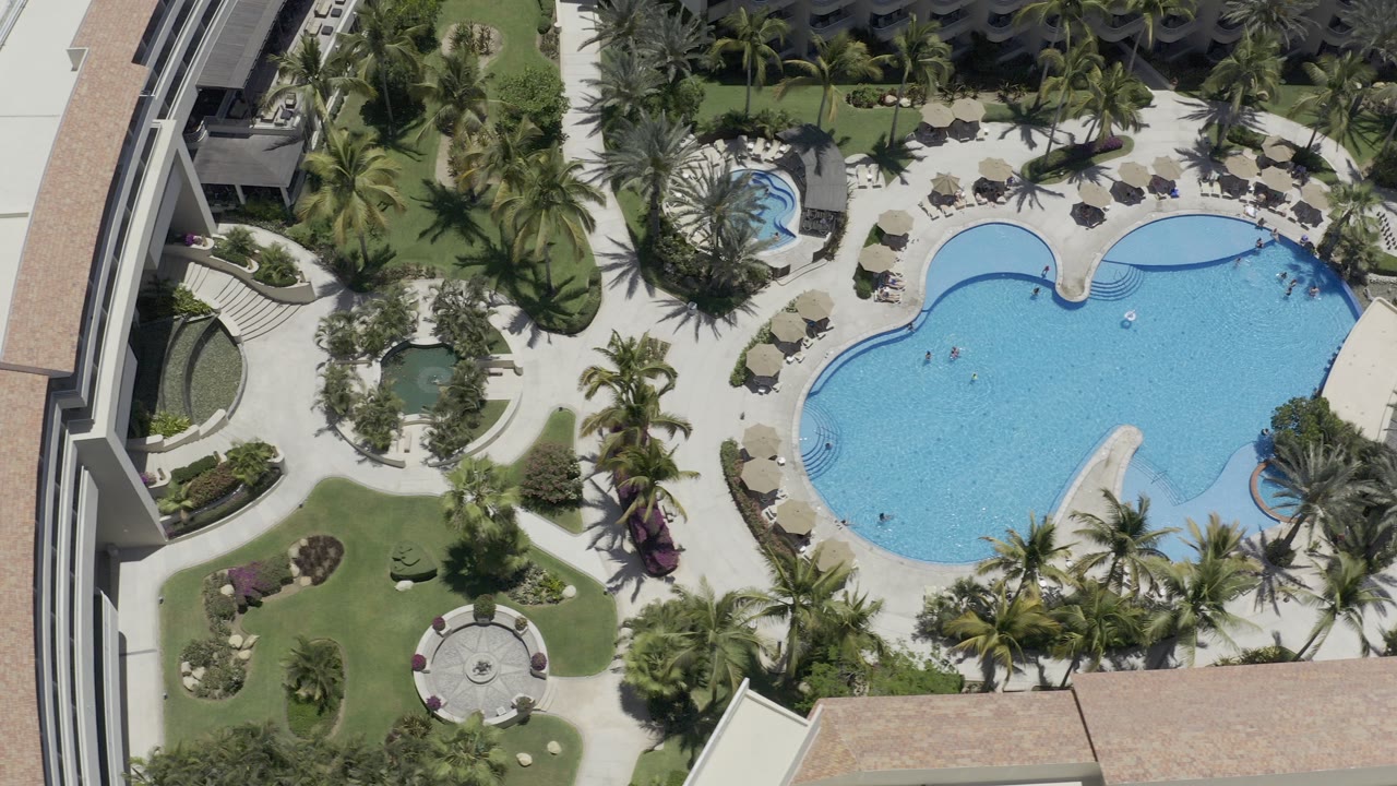 Overhead view of a pool and palm landscaping beside modern buildings.