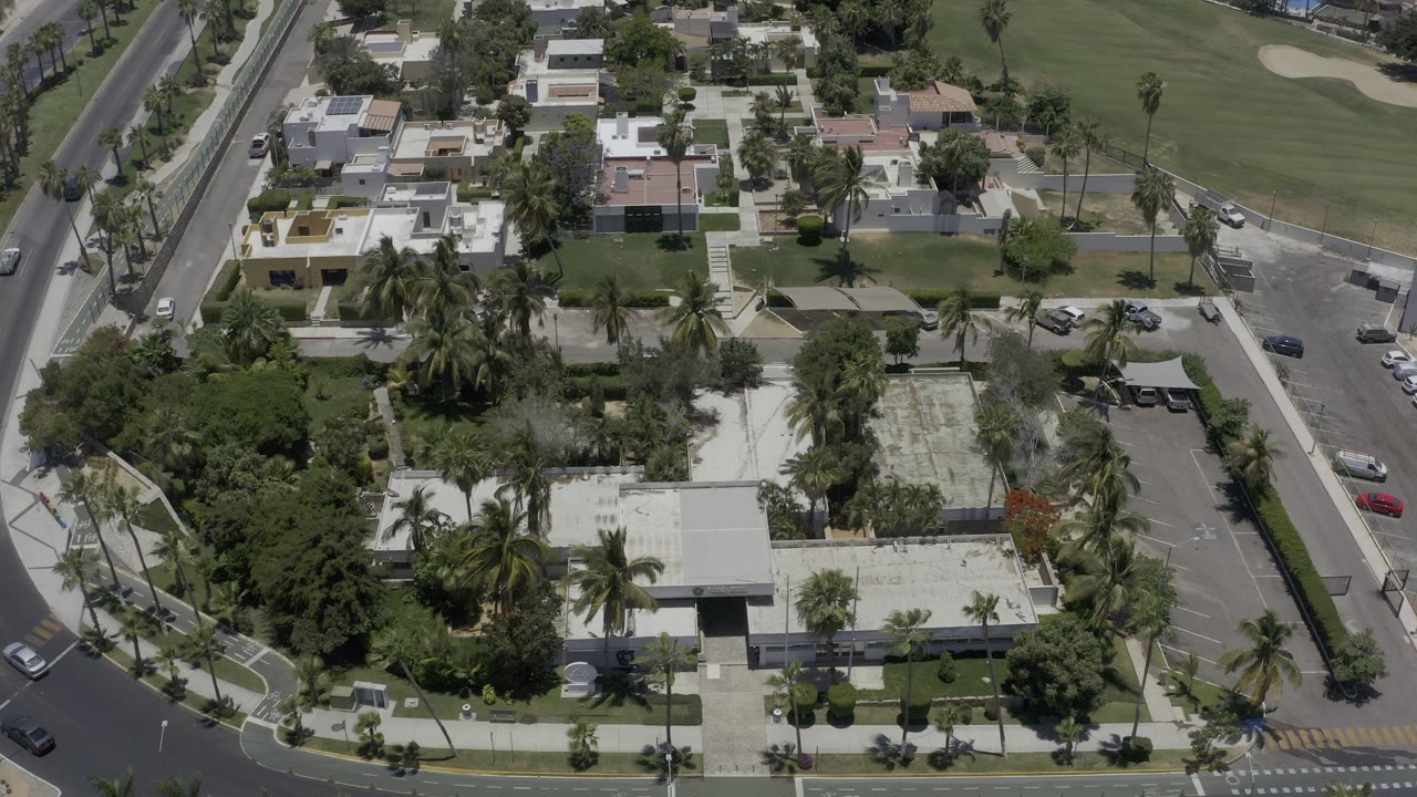 Aerial view of palm-lined streets, homes, parked cars, and a golf course edge.