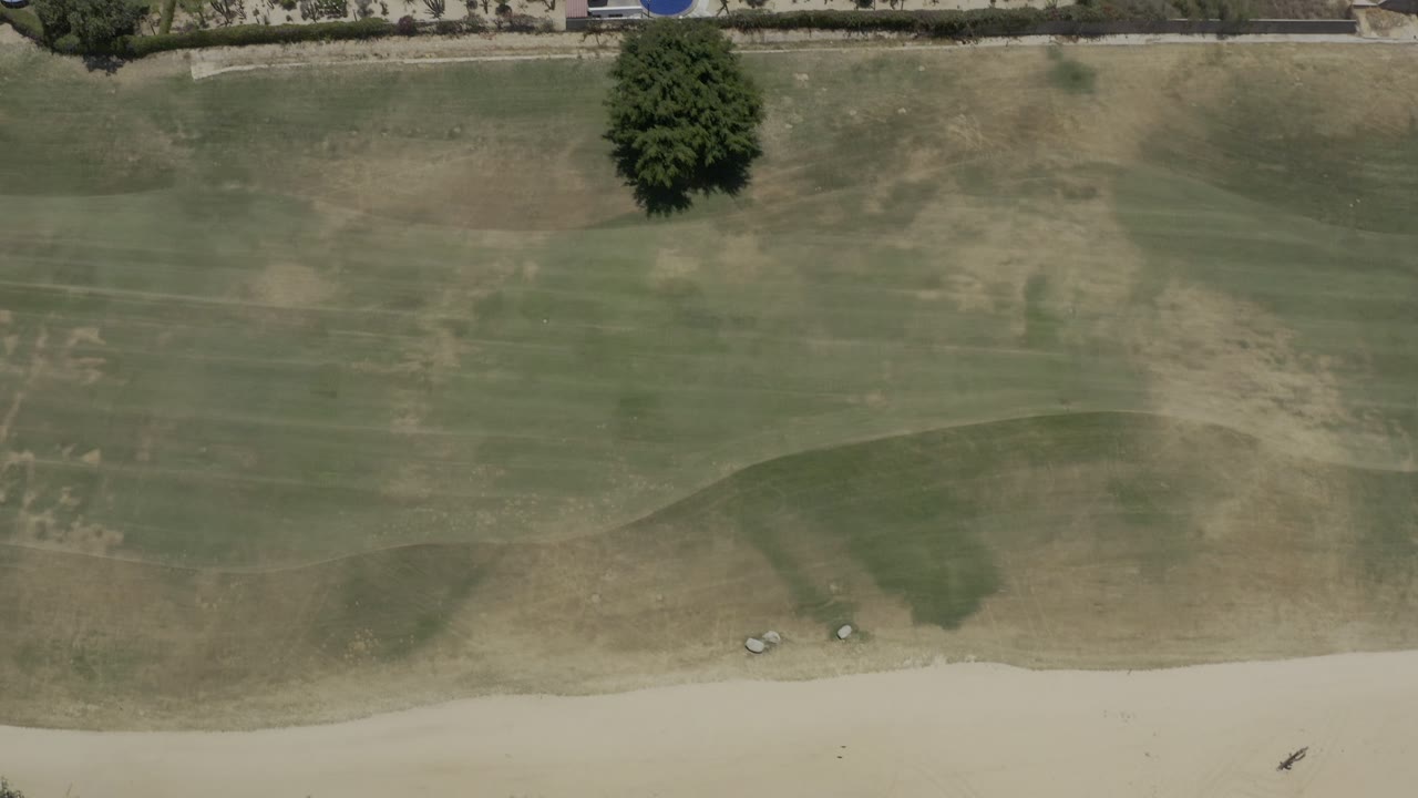 Overhead Los Cabos frame with the green field centered, a lone tree near the upper area, dry grass mottling, and no visible people.