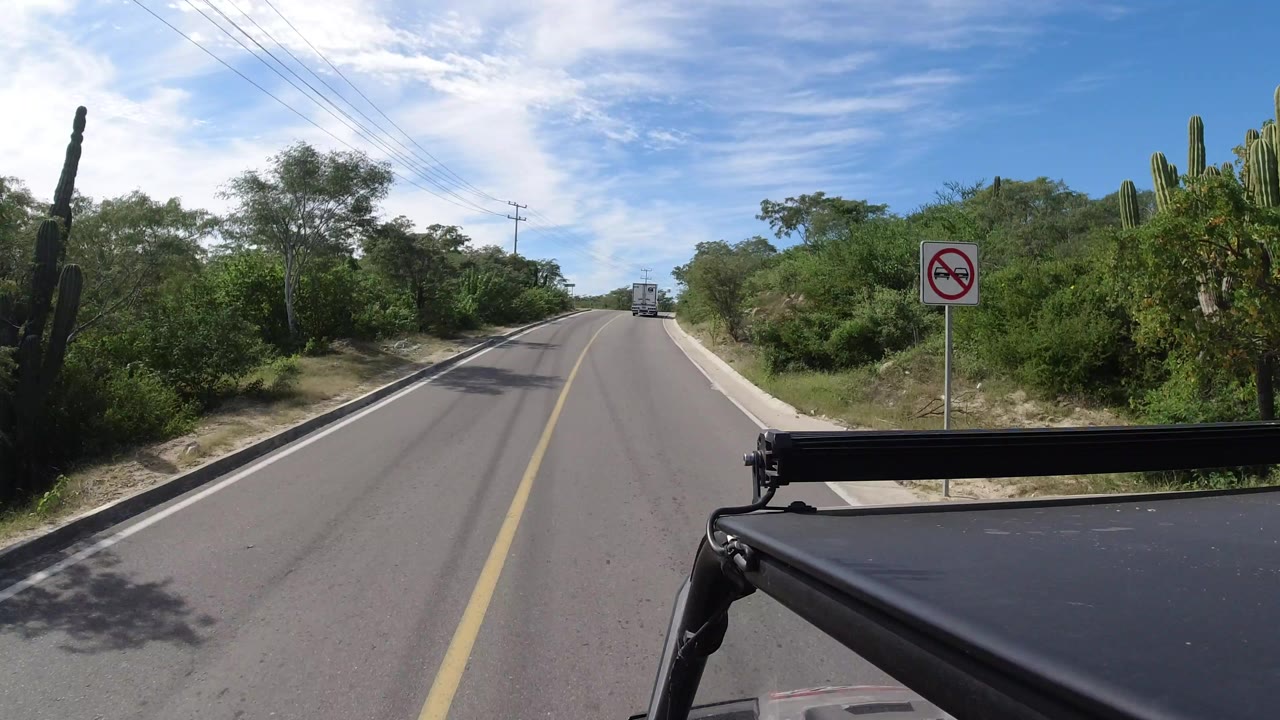 Los Cabos road POV with the yellow center line leading toward distant traffic, dense green roadside brush, tall cactus, a posted sign, and no visible people.