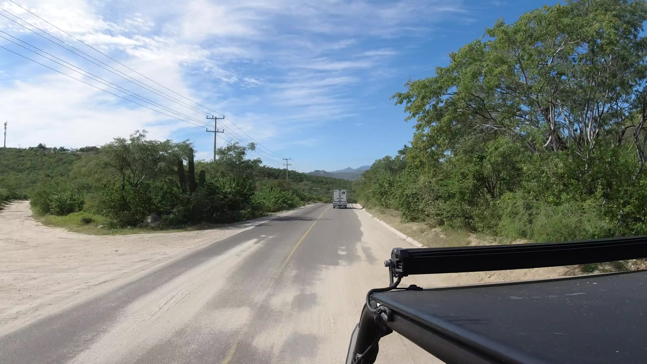 The Los Cabos road passes a pale dirt side area on the left, with dense green brush and trees beside the pavement, a vehicle ahead, and no visible people.