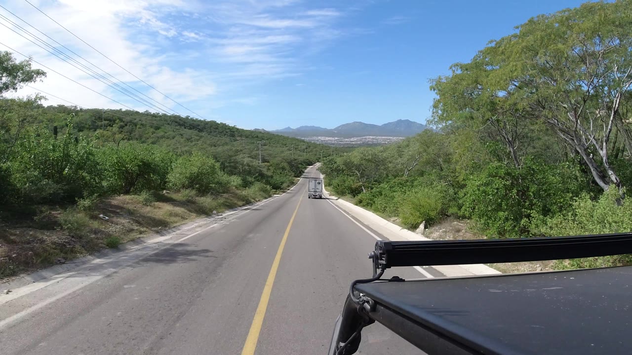 Sunny road framed by brush and trees with a vehicle ahead.